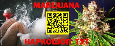 гидра Дмитров