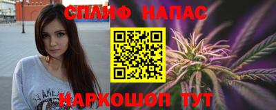 гидра Дмитров