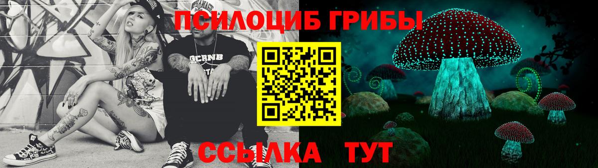 Волжск  Галлюциногенные грибы Psilocybine cubensis  Вход с VPN  Галлюциногенные грибы Psilocybe 